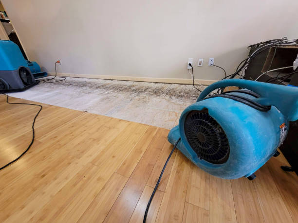 Professional Water Damage Repair technician working in Woodward, IA